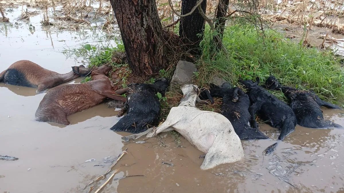 ಸಿಡಿಲು ಬಡಿದು ಹಿರೇಮರಳಹಳ್ಳಿಯ ರೈತನ ಸಾವು